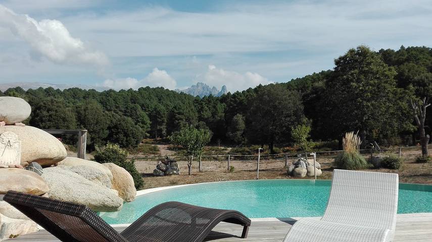 Chambre d’hôte pour 3 personnes, avec piscine et jardin, animaux acceptés en Corse - 4