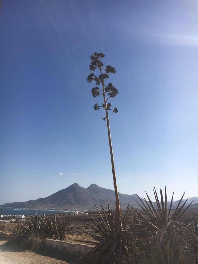 Casa rural para 4 personas, con Balcón y Terraza además de Jardín y Piscina en Cabo de Gata - 2