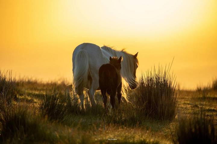 Gîte pour 4 personnes, avec jardin et vue à Bardos