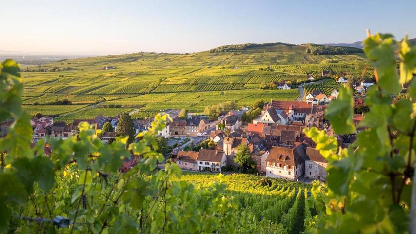 Location de vacances pour 6 personnes, avec piscine et sauna ainsi que balcon et vue à Munster - 4