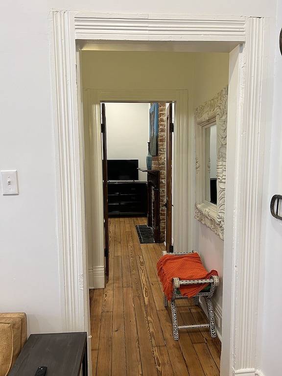 Welcome to the Jazznest! in Uptown, New Orleans