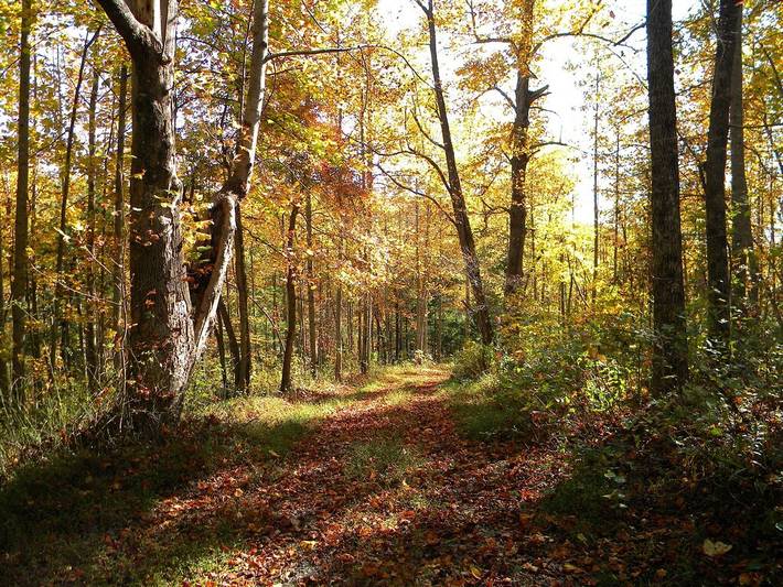 Ferienhaus für 4 Personen, mit Terrasse in North Carolina