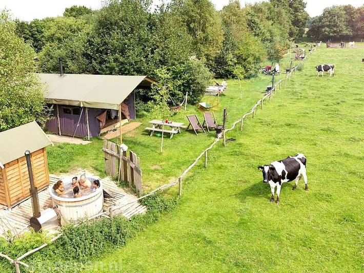 Vakantiehuis voor 40 personen, with sauna and balkon/terras as well as terras in Dwingeloo