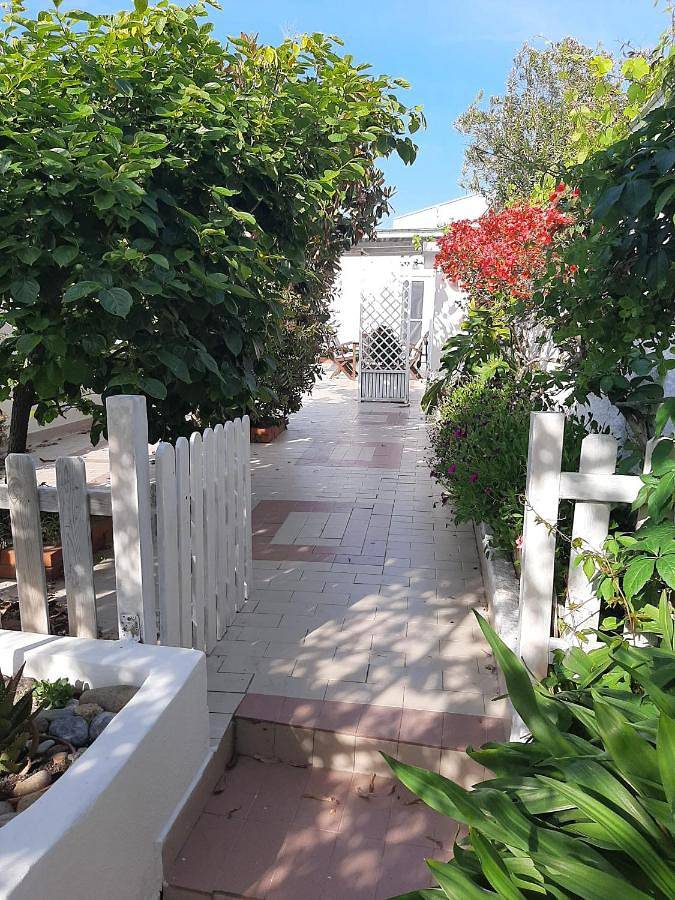 Location de vacances pour 6 personnes, avec vue et jardin, adapté aux familles à Ponza - 2
