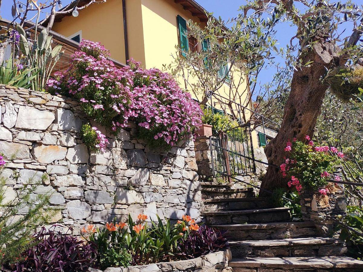 L'Alcova tra gli ulivi in Zoagli, Riviera di Levante