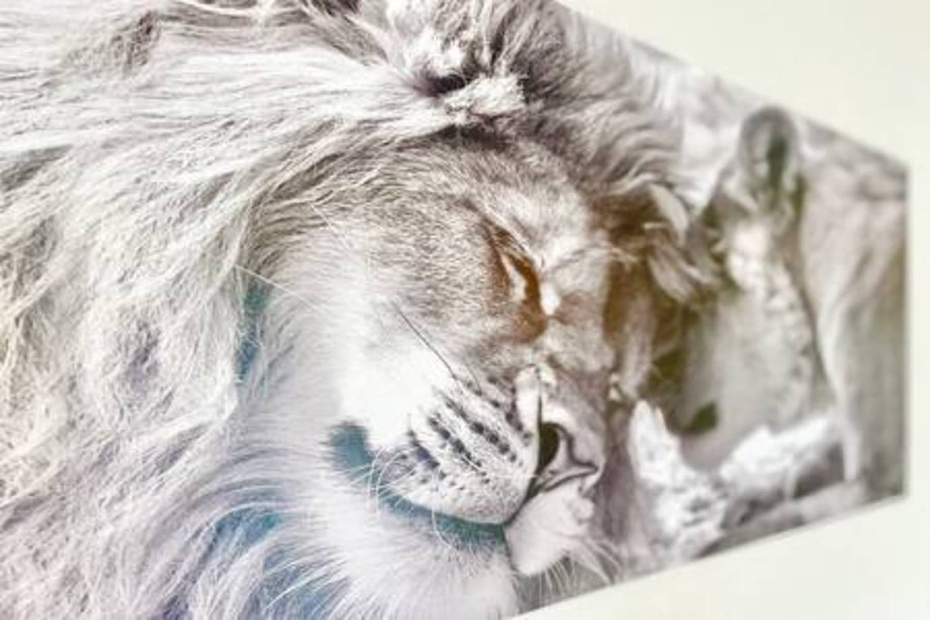 Estudio entero, The White Lion, downtown and balcony in Saint-Nazaire, Côte de Jade