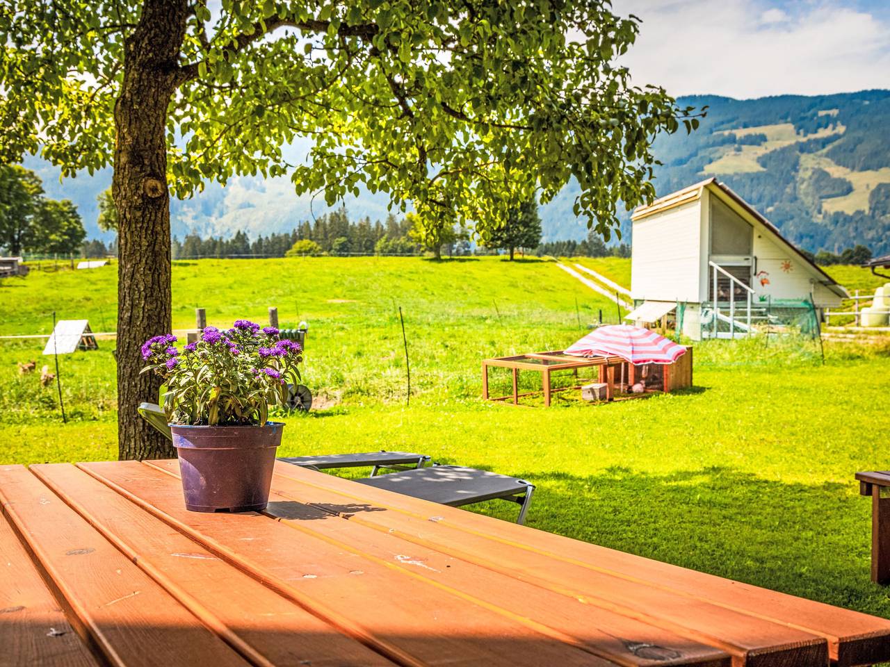 Ganze Wohnung, Hanserbauer in Saalfelden am Steinernen Meer, Pinzgau