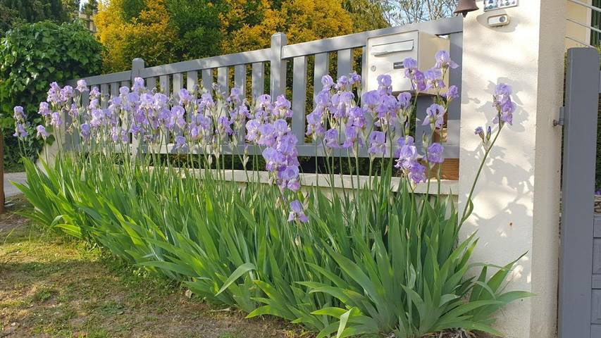 Location de vacances pour 5 personnes, avec jardin à Saint-Prix (Val-d'Oise) - 2