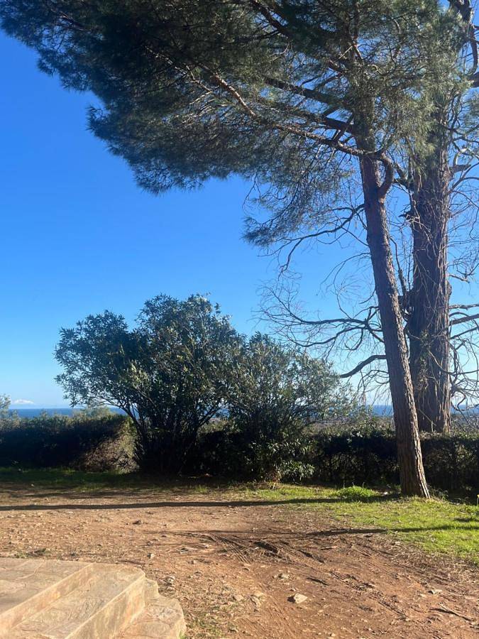 Gîte pour 3 personnes, avec terrasse à San-Giuliano - 2