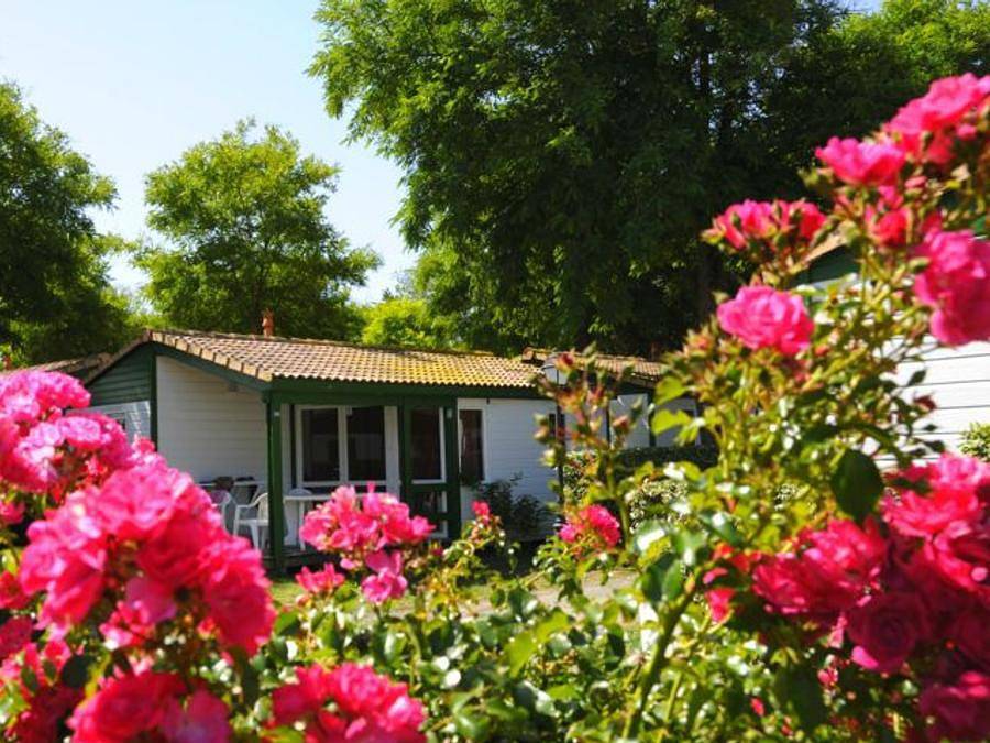 Camping Les Gros Joncs - Chalet 4 personas - Yucca in Saint-Georges-d'Oléron, Côte de Beauté