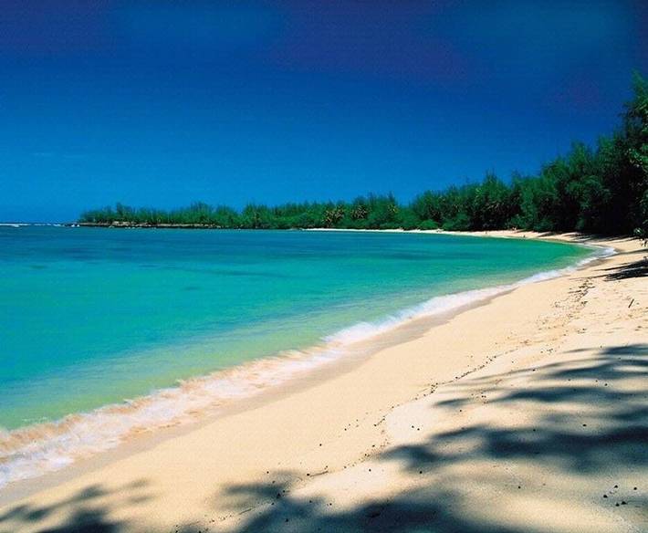 Vacation rental for 6 people, with terrace and yard as well as pool in Turtle Bay