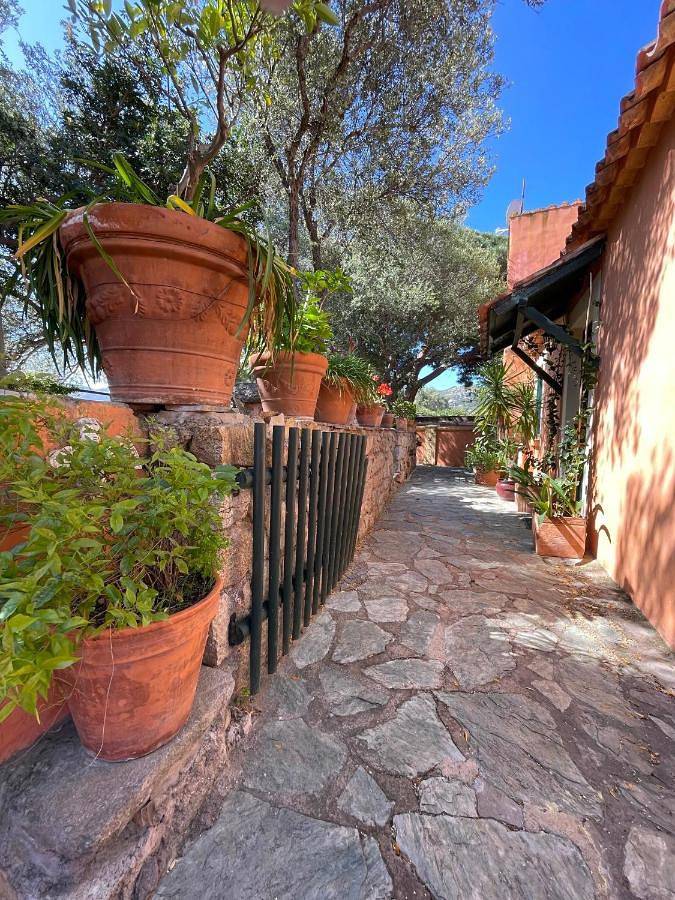 Villa pour 8 personnes, avec piscine et balcon à Calvi - 4