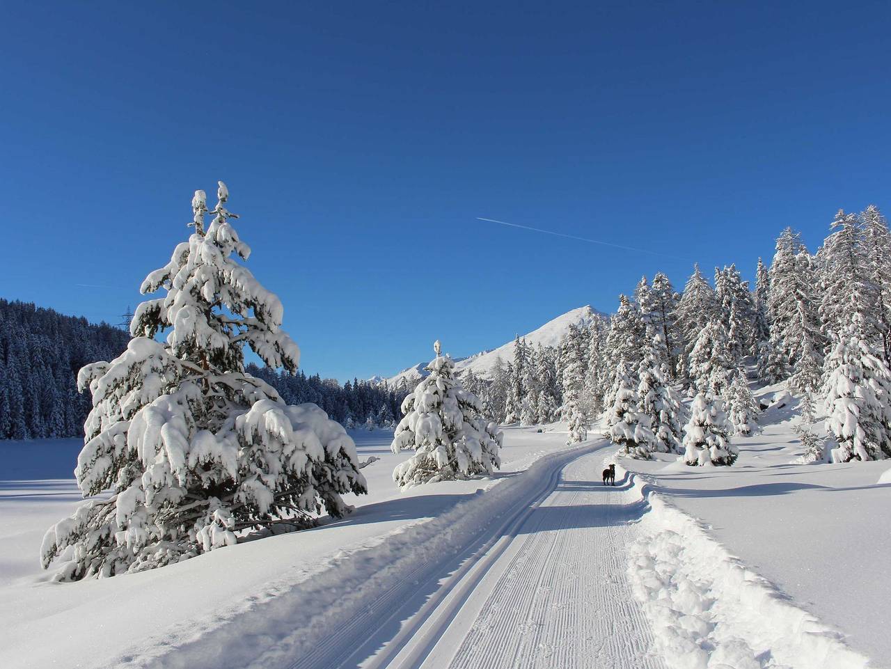 Aparthotel Hochland Gmbh - Almwiese M in Nauderer Berge, Nauders
