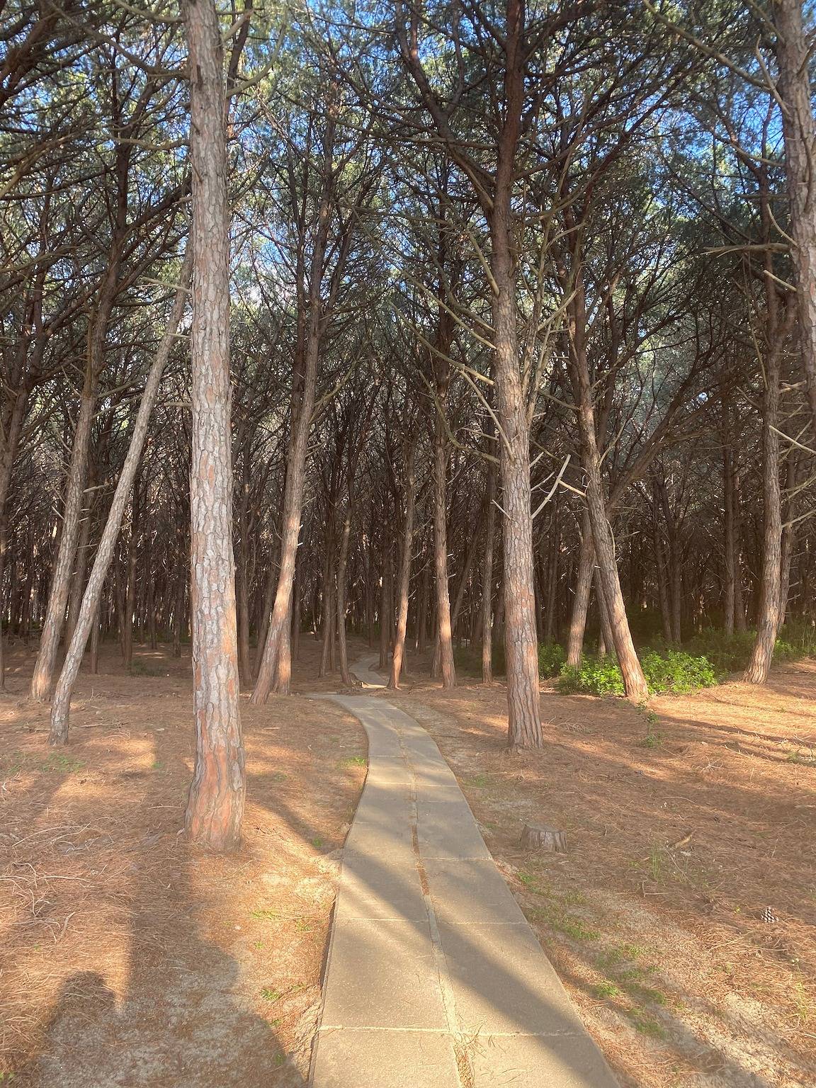 Ganze Ferienwohnung, Pizzo Beach Club Penthouse in Pizzo, Vibo Valentia Provinz