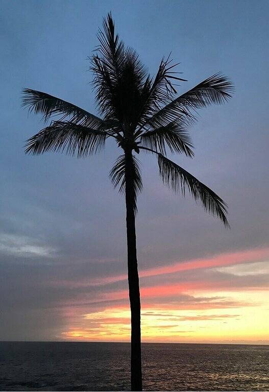 Vacation rental for 4 people, with terrace and garden as well as pool in Kailua-Kona