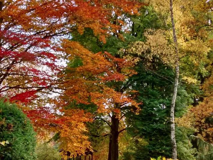 Ferienwohnung für 4 Personen, mit Terrasse und Garten, kinderfreundlich in Bad Sachsa - 4