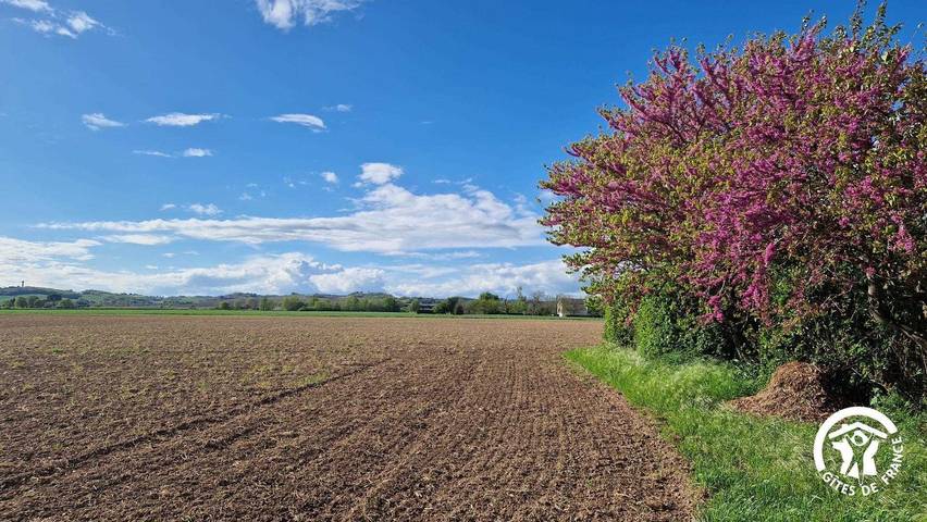 Fournac in Lisle-sur-Tarn, Région d'Albi