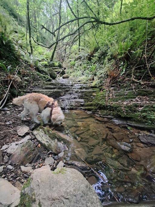 Casa rural para 4 personas, con jardín además de vistas y terraza en Guipúzcoa - 4