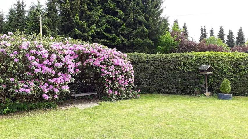 Ferienhaus für 2 Personen, mit Sauna und Garten in Lahntal-Westerwald - 4