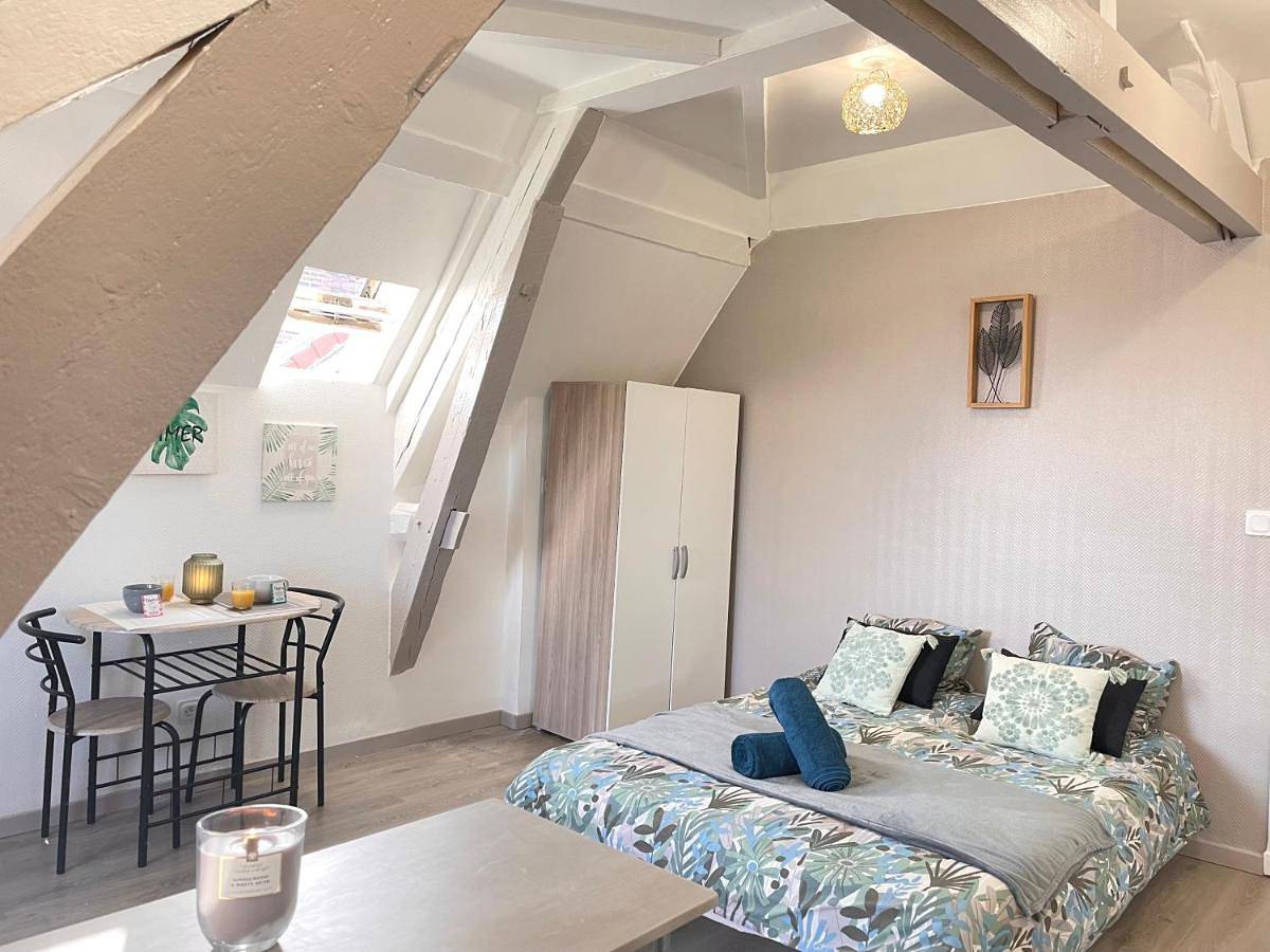 Appartement entier, Studio du Voyageur - Machine à laver - Proche gare in Sainte-Savine, Aube