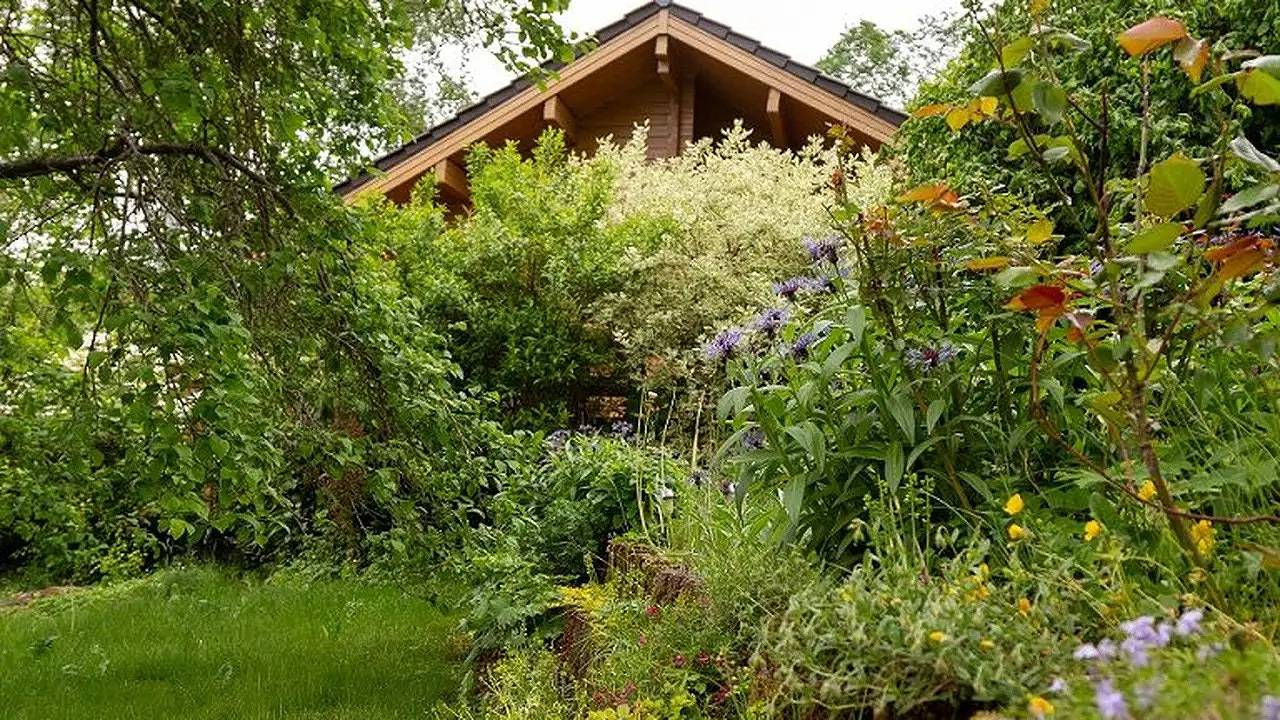 Ferienhaus für 6 Personen (65 m²) in Altenbrak in Altenbrak, Thale