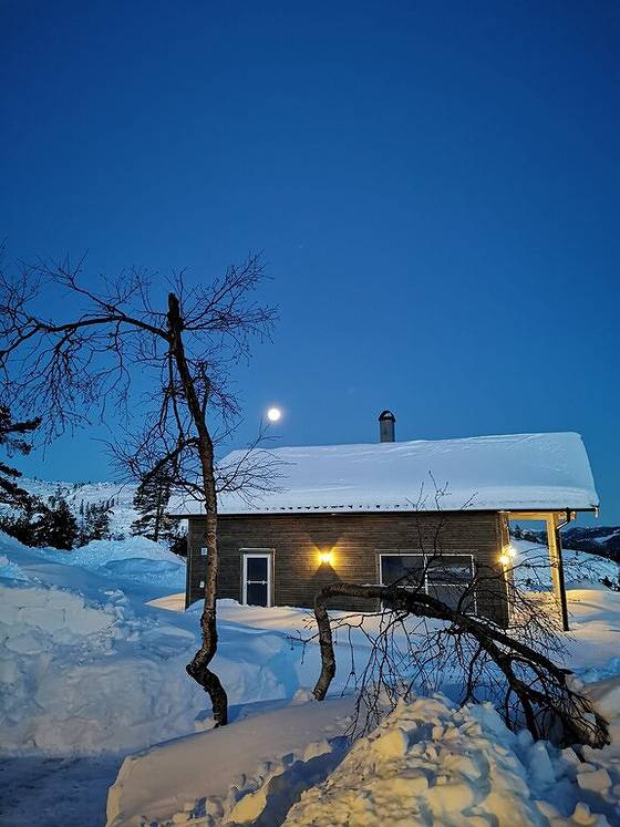 Fjellspurven in Vrådal, Kviteseid