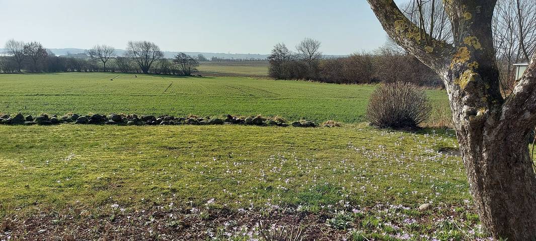 Ferienhaus für 5 Personen, mit Ausblick und Garten in Schleswig & Umgebung