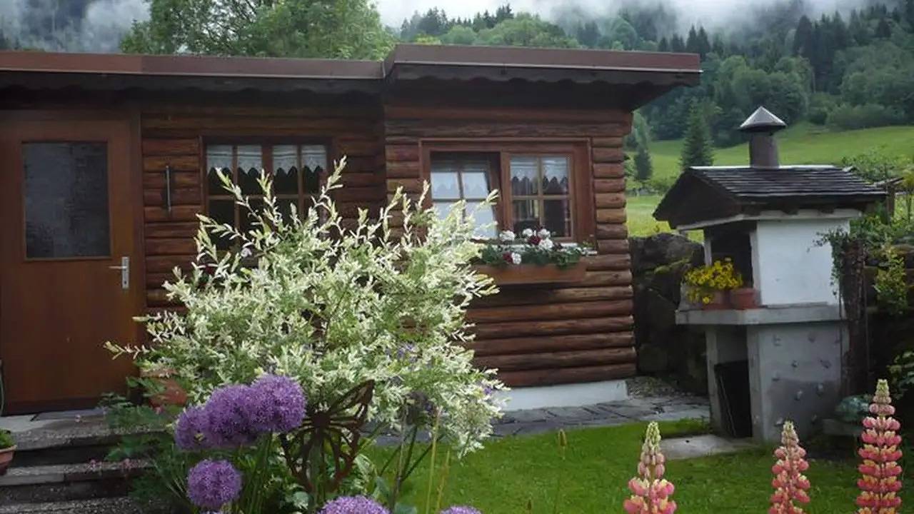Ganze Ferienwohnung, Ferienwohnung für 2 Personen (27 m²) in Schoppernau in Diedamskopf, Schoppernau