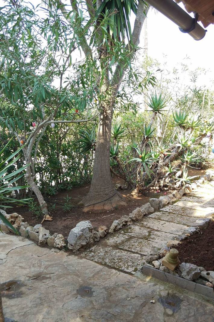 Ferienhaus für 6 Personen, mit Terrasse und Garten in Cala Anguila - 3