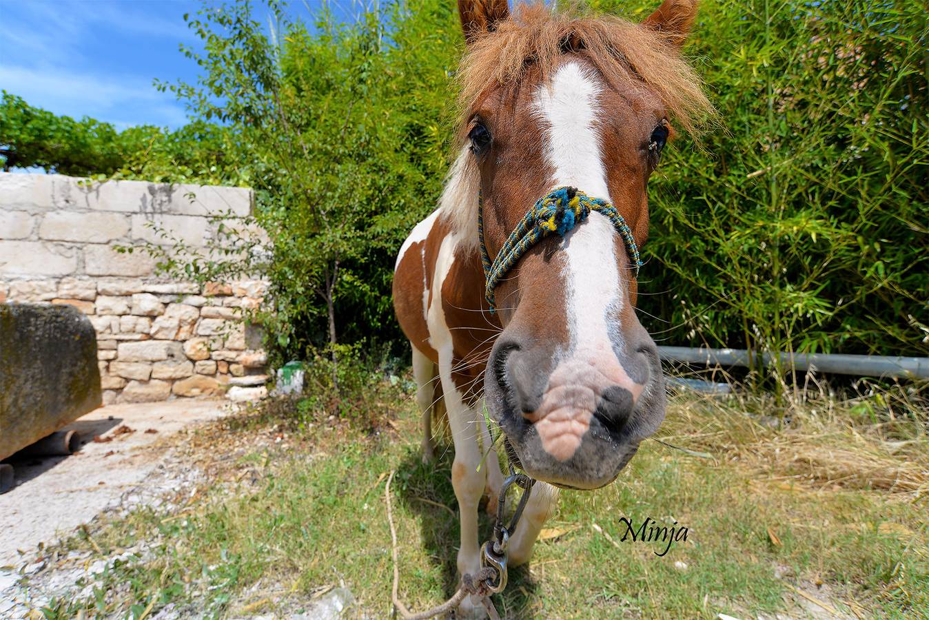 Ganze Wohnung, Ferienwohnung für 6 Personen mit Balkon in Vodnjan, Grad Vodnjan