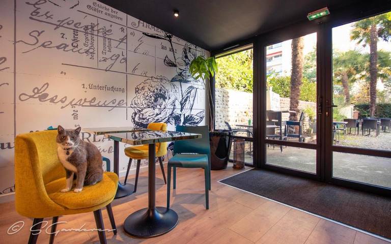 Hôtel pour 2 personnes à Pau - 2