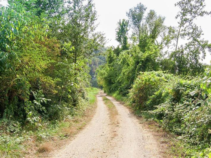 Location de vacances pour 11 personnes, avec terrasse et jardin dans Cénevières - 4