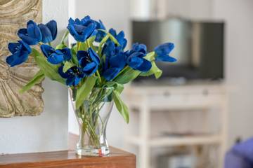 Apartment in Artà, Mallorca Osten Apartment in Artà, Mallorca Osten für 4