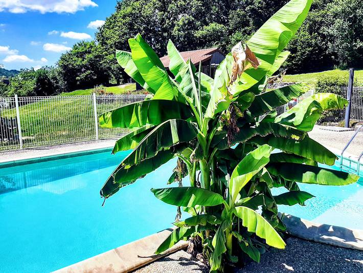 Gîte pour 6 personnes, avec terrasse ainsi que jardin et piscine, animaux acceptés à Junhac - 2
