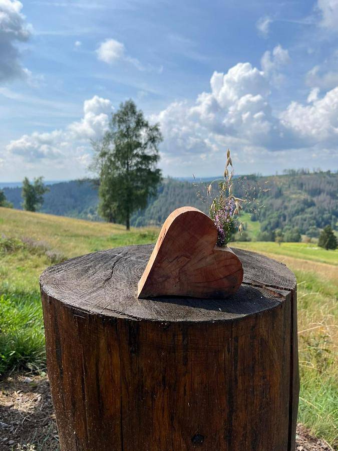 Ferienhaus für 5 Personen, mit Terrasse und Garten sowie Ausblick in Schleusegrund