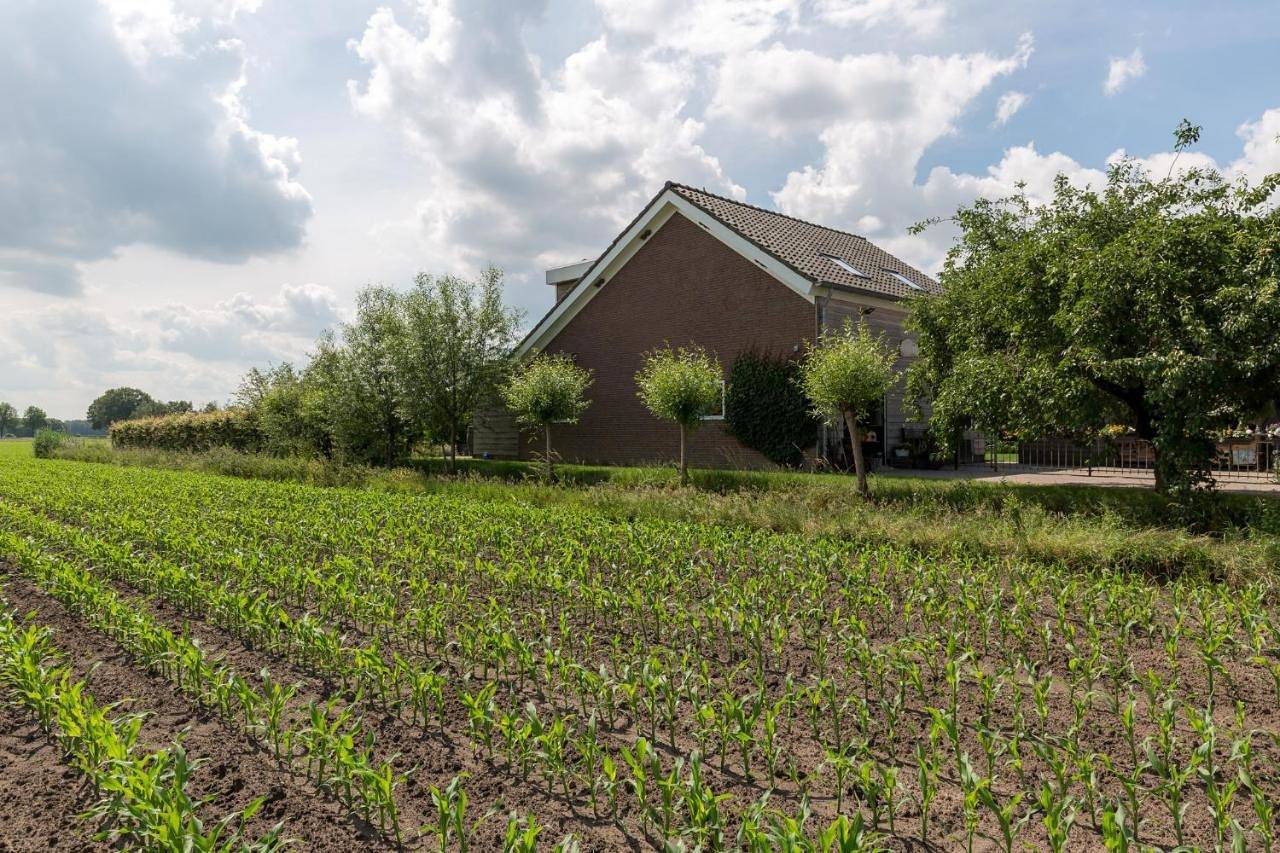De Nieuwe Warande in Tilburg, Noord-Brabant