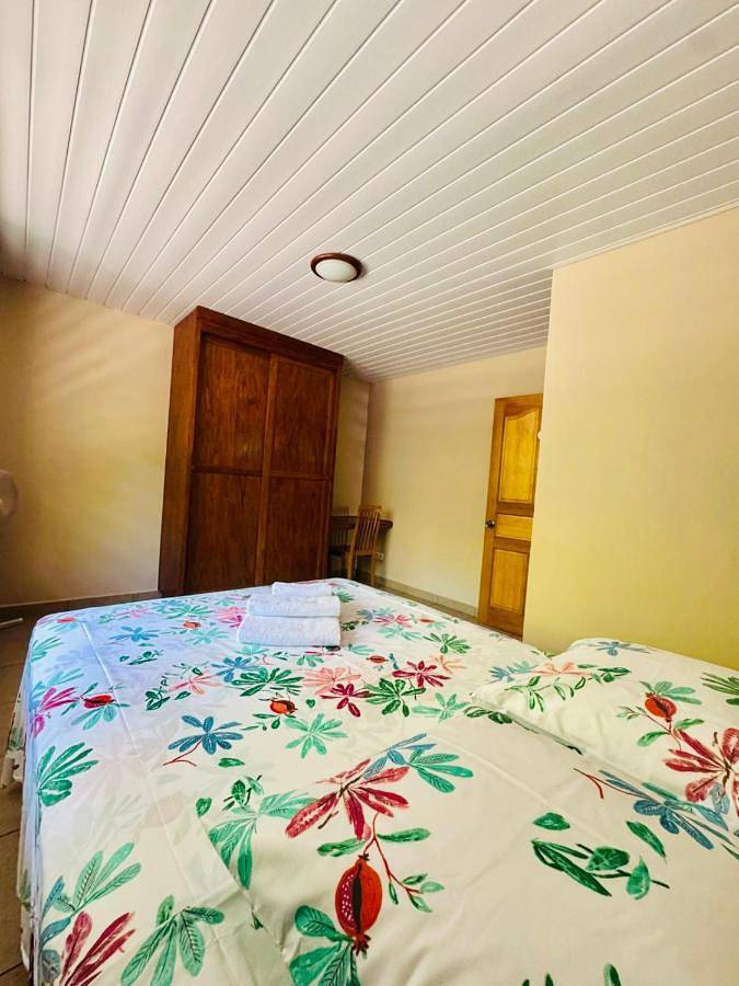 Gîte pour 2 personnes, avec jardin ainsi que vue et piscine dans Mataiea - 3