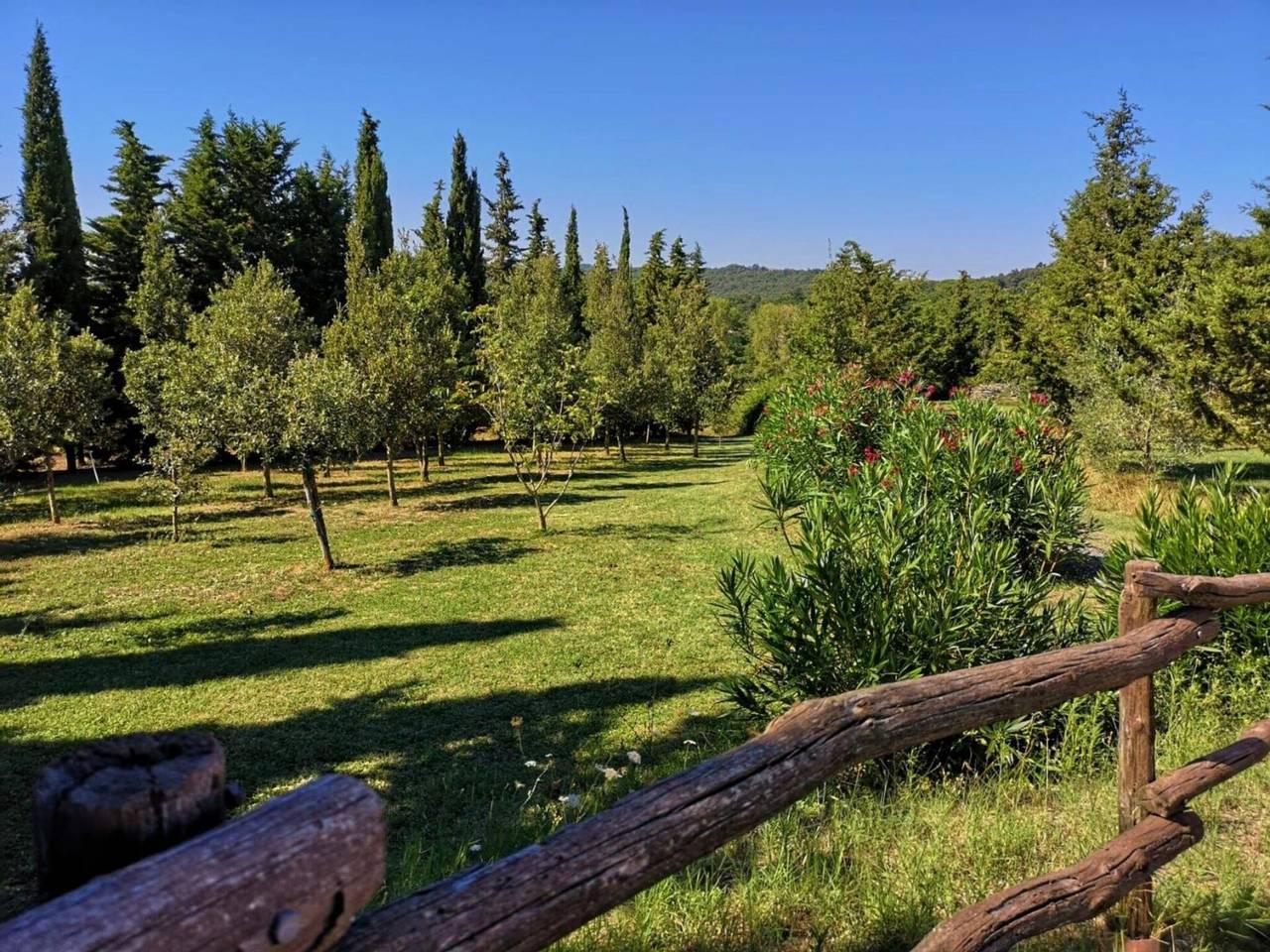 Villa San Martino in Pomarance, Riserva Naturale di Monterufoli