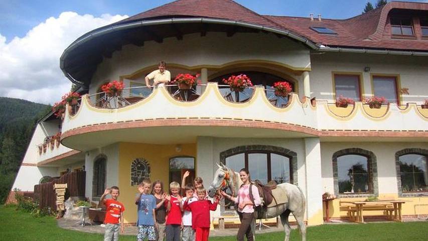 Gîte pour 3 personnes, avec sauna ainsi que jardin et terrasse, animaux acceptés dans Eberstein