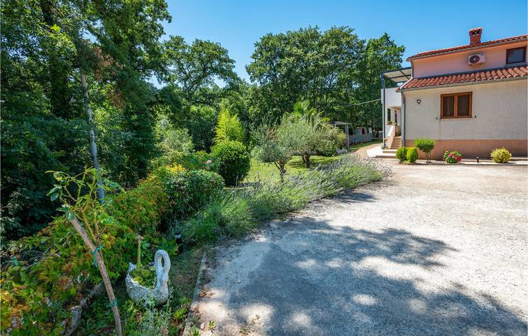 Gîte pour 5 personnes, avec jardin et terrasse à Svetvinčenat - 4