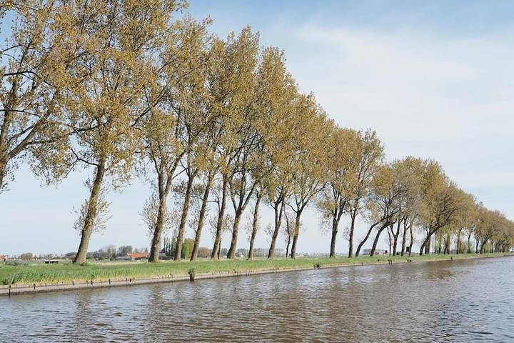 Boot für 2 Personen, mit Terrasse und Ausblick in Belgien - 3