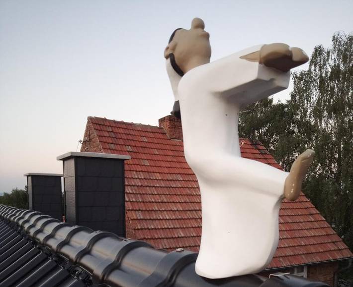 Ferienhaus für 8 Personen, mit Terrasse und Ausblick im Hainich - 3