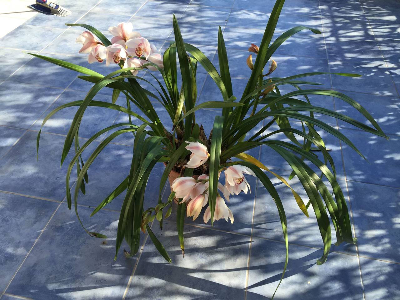 Geheel appartement, Wohnung A in Lipari