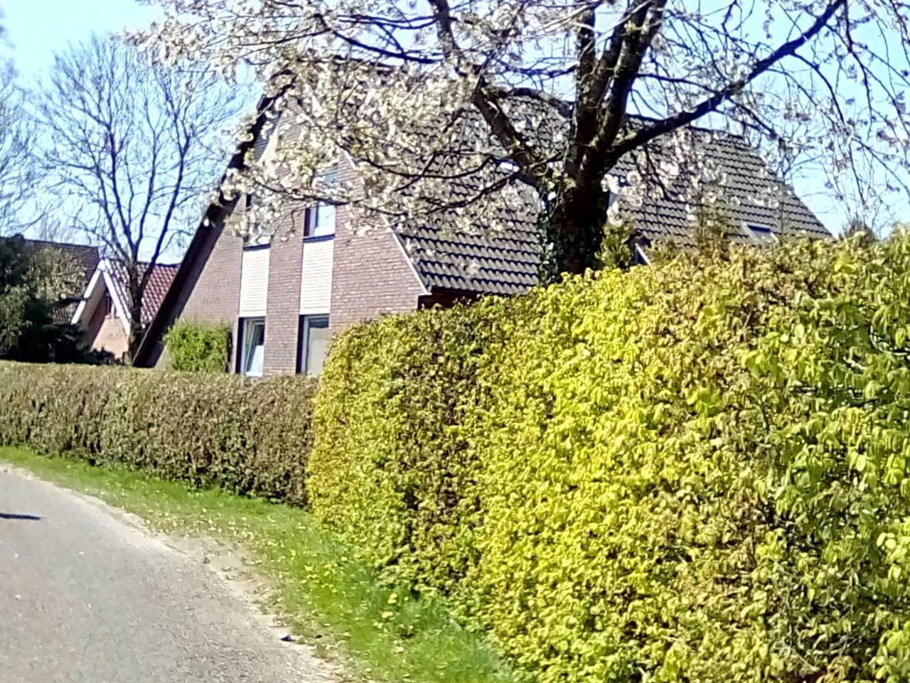Ganze Ferienwohnung, Ferienwohnung Teestuuv, 55166 in Detern, Ostfriesland