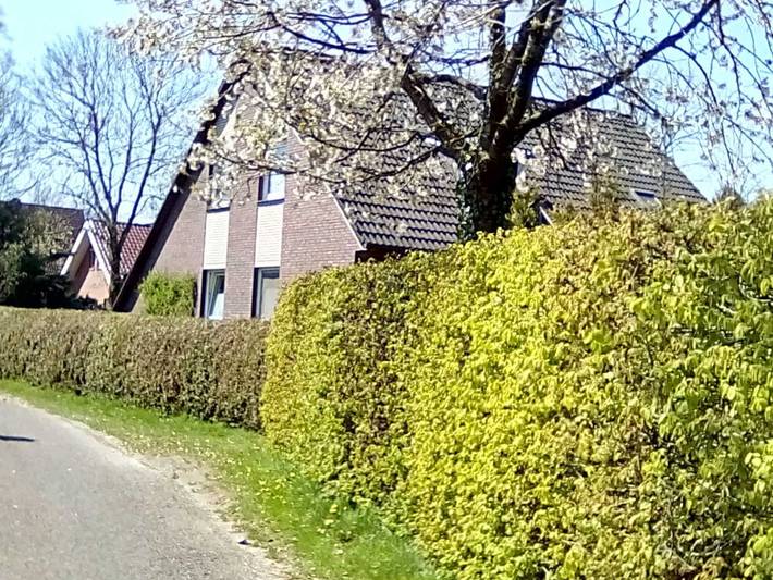 Ferienwohnung für 5 Personen, mit Terrasse und Garten, mit Haustier in Leer und Umgebung - 2