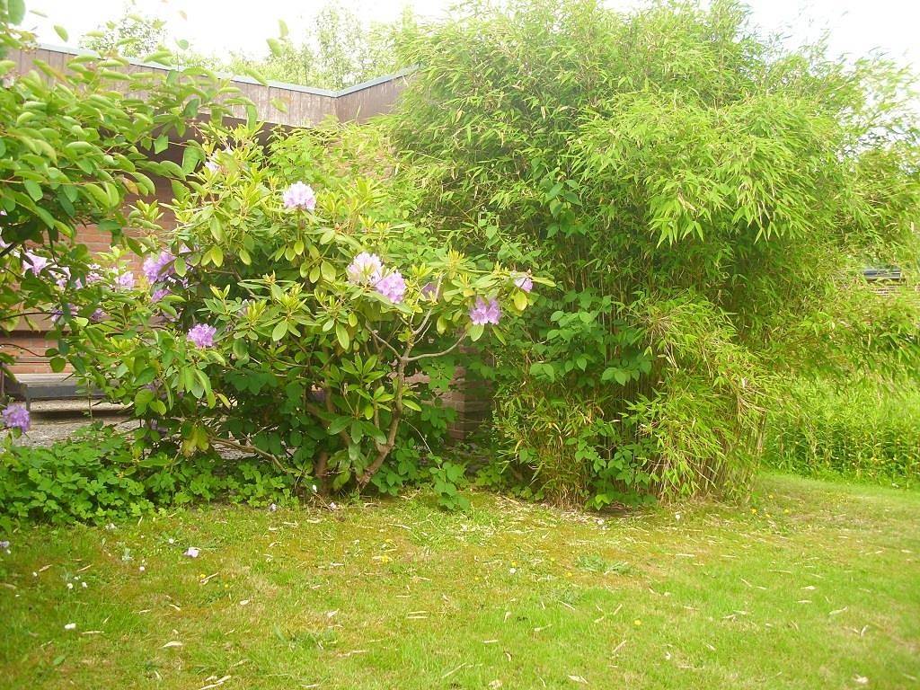 Ganze Ferienwohnung, Grot Jona in St. Peter-Bad, St. Peter-Ording
