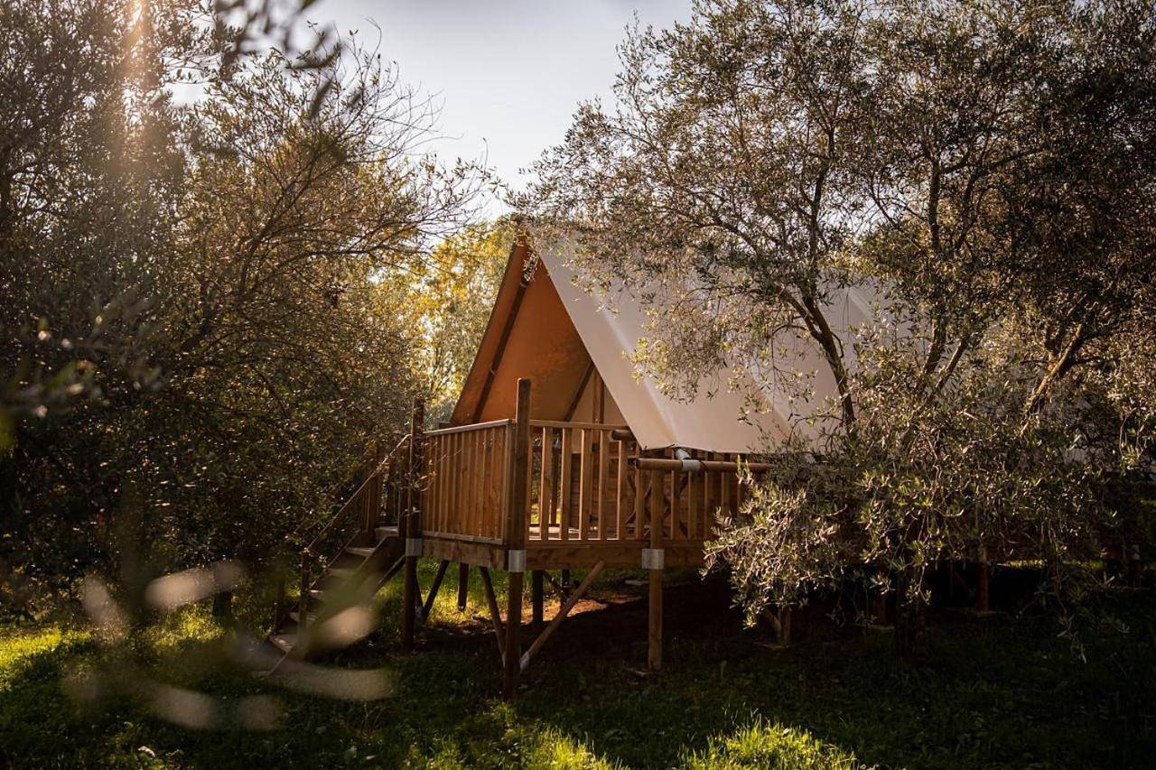 Glamping Il Bosco di Marino in San Pietro di Feletto, Provincia di Treviso