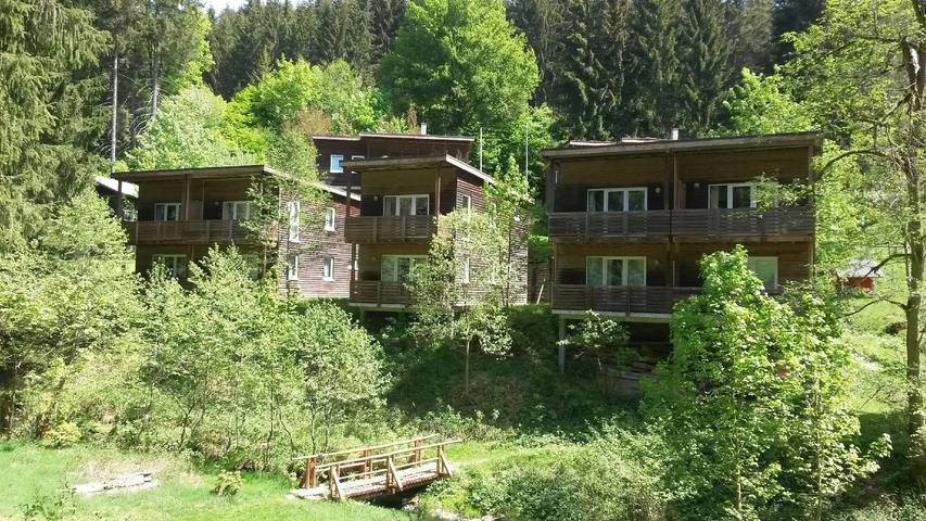 Ferienhaus für 6 Personen, mit Terrasse und Garten, mit Haustier am Rennsteig - 3