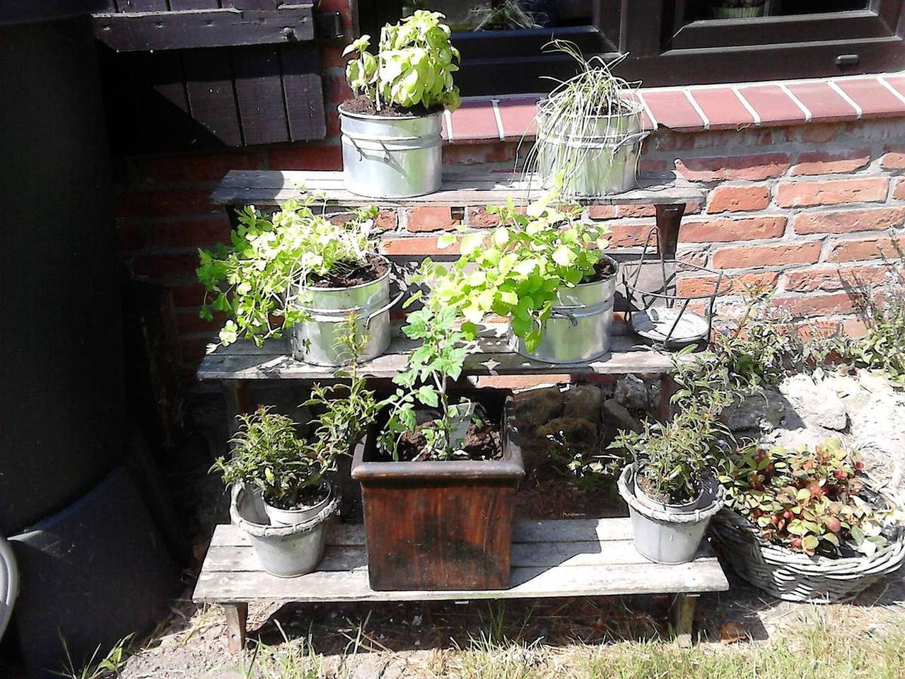 Bild 1