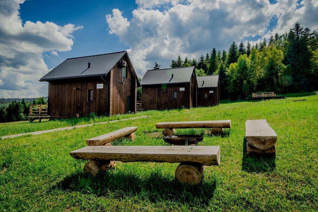 Polana Piorun-Rodzinne domki w Beskidzie Niskim in Karpaty (Polska)